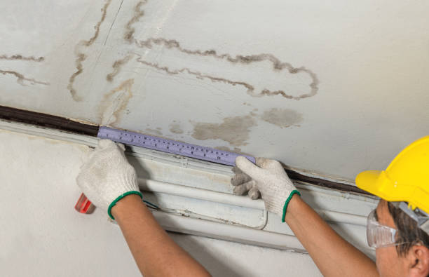 Reliable Water Damage contractor in Stollings, WV by Water Damage Irwin